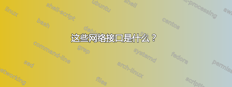 这些网络接口是什么？