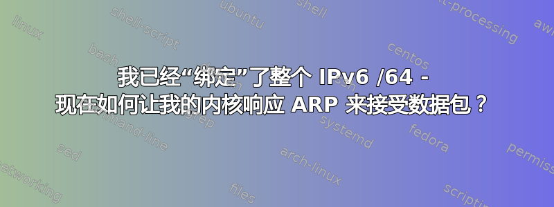 我已经“绑定”了整个 IPv6 /64 - 现在如何让我的内核响应 ARP 来接受数据包？