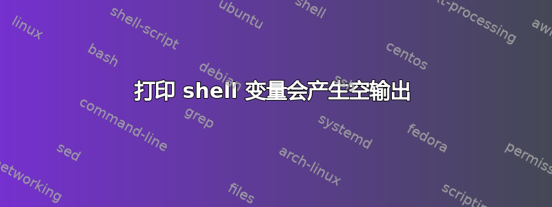 打印 shell 变量会产生空输出