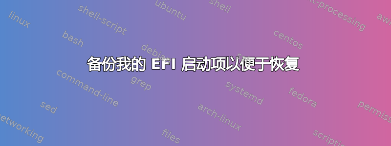 备份我的 EFI 启动项以便于恢复