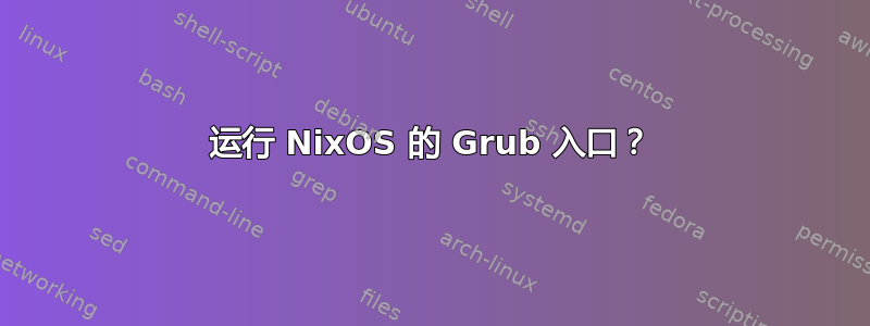 运行 NixOS 的 Grub 入口？