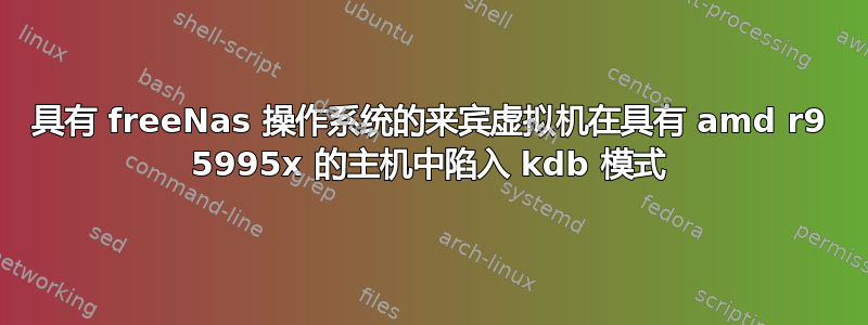 具有 freeNas 操作系统的来宾虚拟机在具有 amd r9 5995x 的主机中陷入 kdb 模式