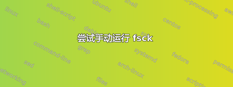 尝试手动运行 fsck