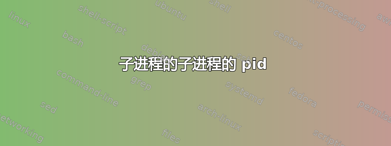 子进程的子进程的 pid