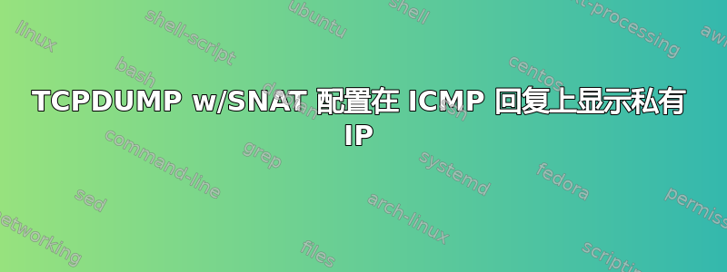 TCPDUMP w/SNAT 配置在 ICMP 回复上显示私有 IP