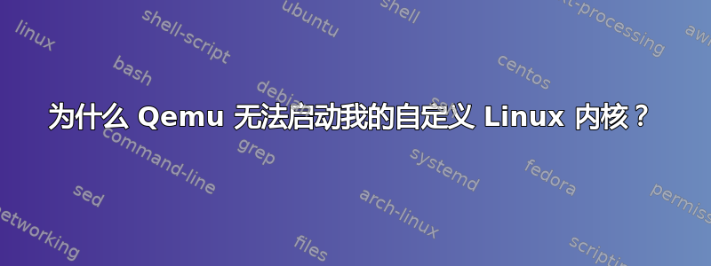 为什么 Qemu 无法启动我的自定义 Linux 内核？