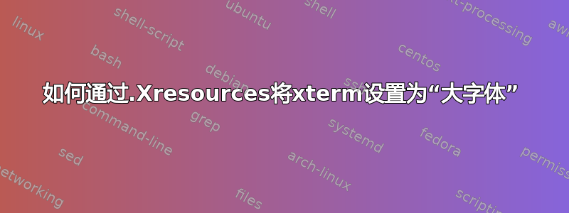 如何通过.Xresources将xterm设置为“大字体”