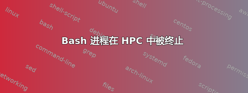 Bash 进程在 HPC 中被终止