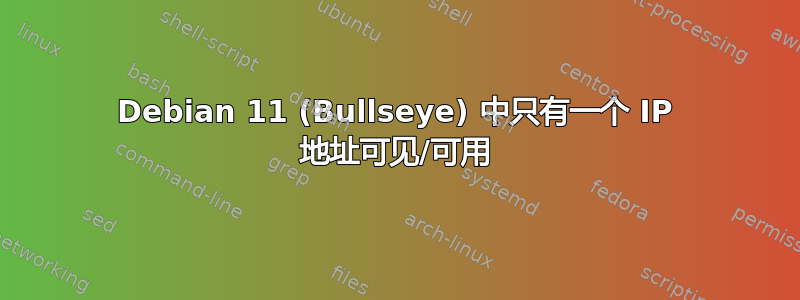 Debian 11 (Bullseye) 中只有一个 IP 地址可见/可用