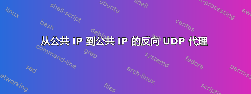 从公共 IP 到公共 IP 的反向 UDP 代理