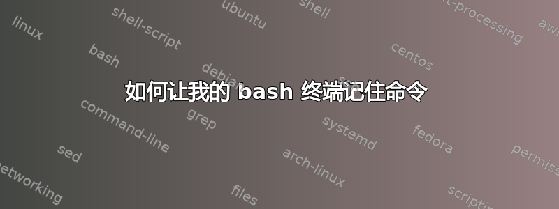 如何让我的 bash 终端记住命令