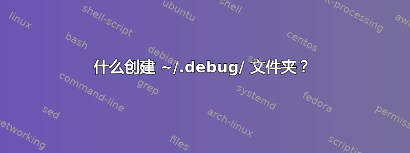 什么创建 ~/.debug/ 文件夹？