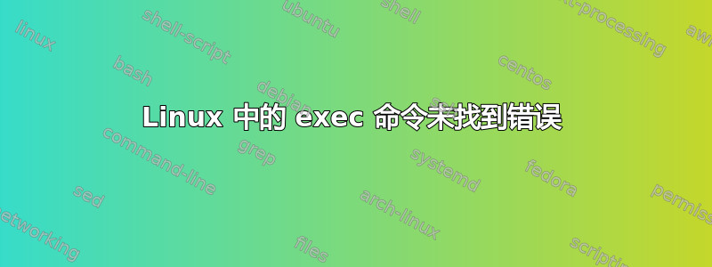 Linux 中的 exec 命令未找到错误