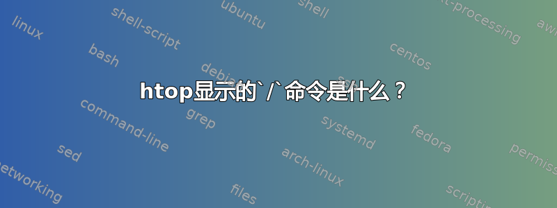 htop显示的`/`命令是什么？