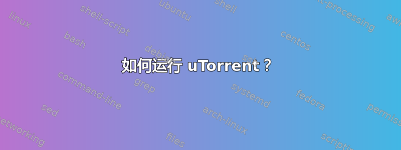 如何运行 uTorrent？