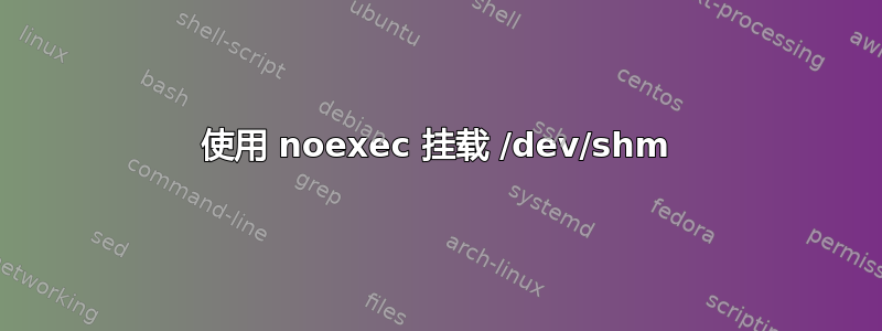 使用 noexec 挂载 /dev/shm