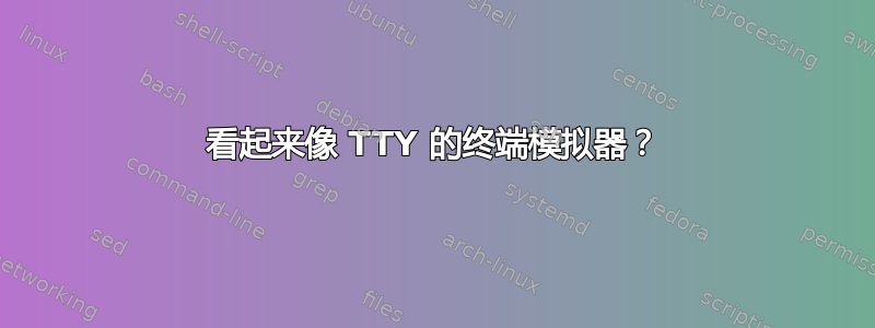 看起来像 TTY 的终端模拟器？