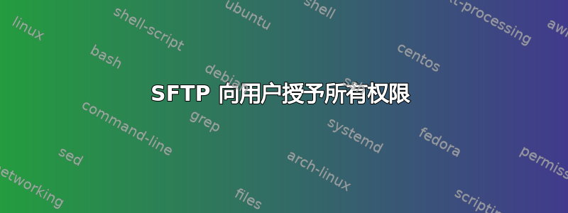 SFTP 向用户授予所有权限