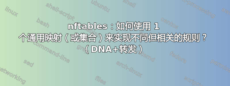 nftables：如何使用 1 个通用映射（或集合）来实现不同但相关的规则？ （DNA+转发）