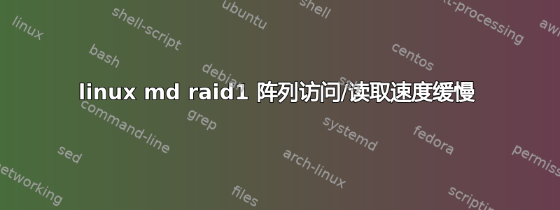 linux md raid1 阵列访问/读取速度缓慢