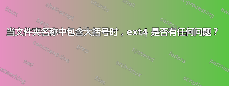 当文件夹名称中包含大括号时，ext4 是否有任何问题？ 