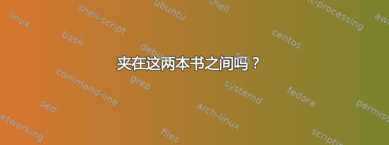 夹在这两本书之间吗？ 