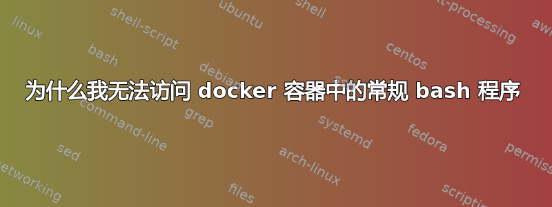 为什么我无法访问 docker 容器中的常规 bash 程序