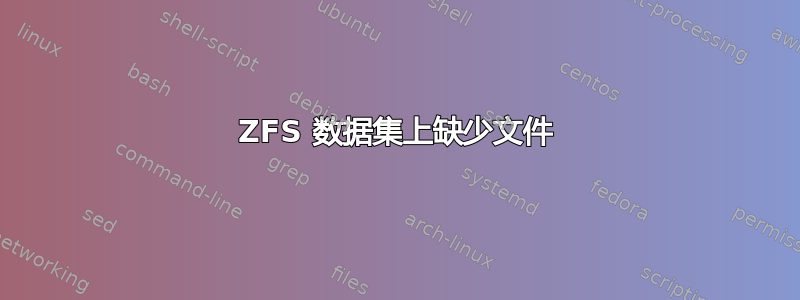 ZFS 数据集上缺少文件