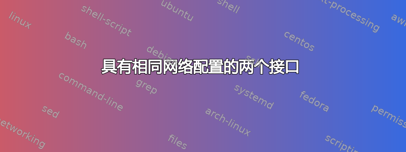 具有相同网络配置的两个接口