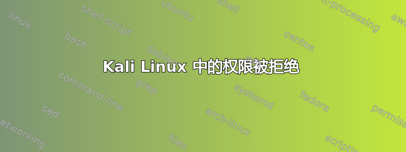 Kali Linux 中的权限被拒绝