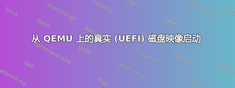 从 QEMU 上的真实 (UEFI) 磁盘映像启动