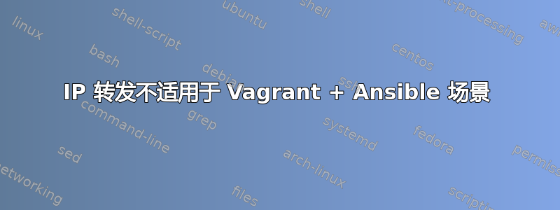 IP 转发不适用于 Vagrant + Ansible 场景