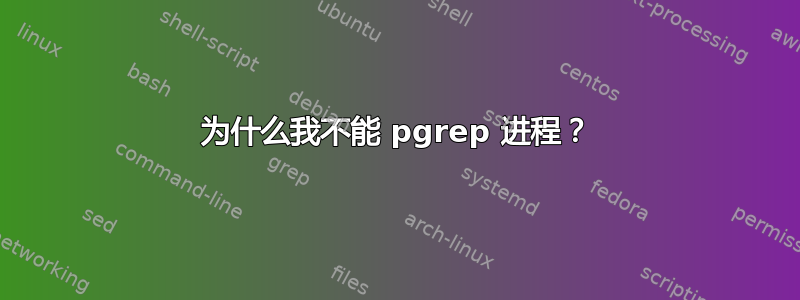 为什么我不能 pgrep 进程？