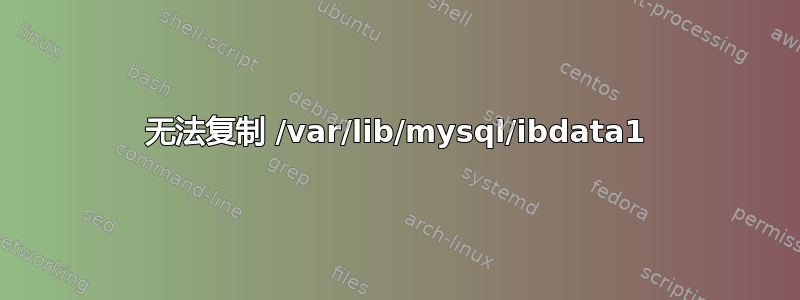 无法复制 /var/lib/mysql/ibdata1