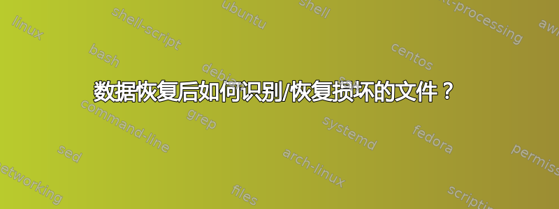 数据恢复后如何识别/恢复损坏的文件？