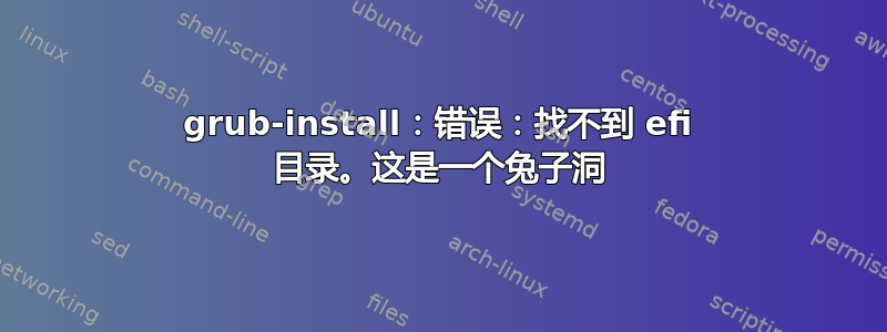 grub-install：错误：找不到 efi 目录。这是一个兔子洞