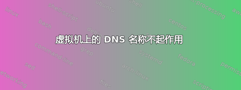 虚拟机上的 DNS 名称不起作用