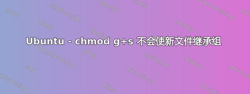 Ubuntu - chmod g+s 不会使新文件继承组