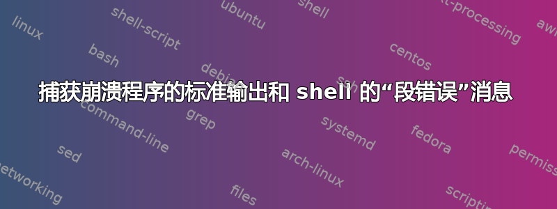 捕获崩溃程序的标准输出和 shell 的“段错误”消息