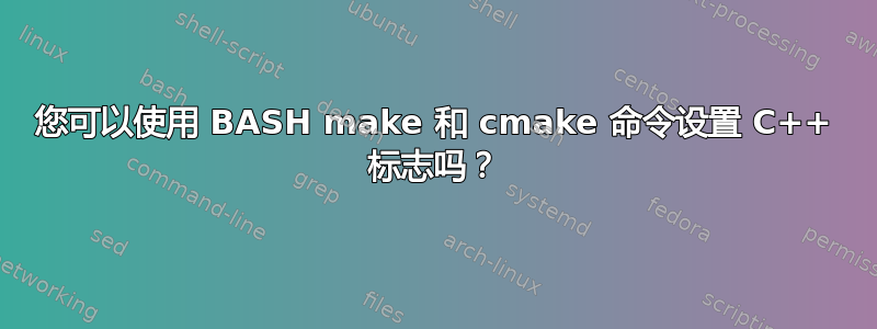 您可以使用 BASH make 和 cmake 命令设置 C++ 标志吗？