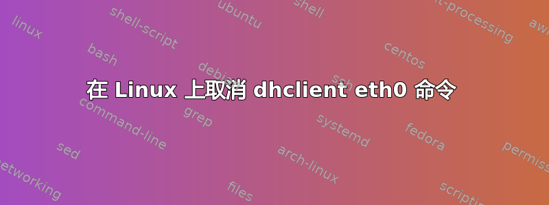 在 Linux 上取消 dhclient eth0 命令