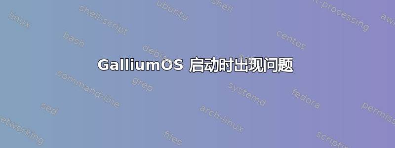 GalliumOS 启动时出现问题