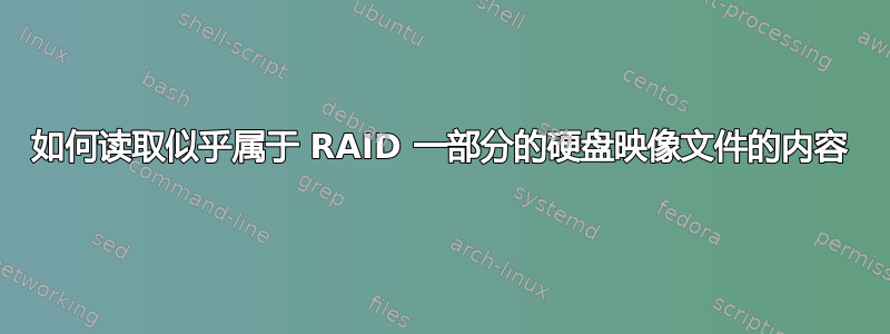 如何读取似乎属于 RAID 一部分的硬盘映像文件的内容