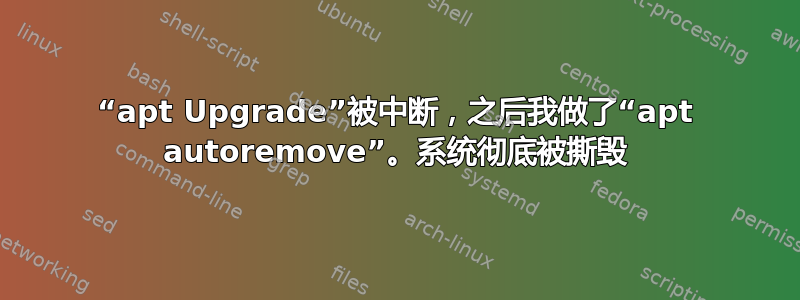 “apt Upgrade”被中断，之后我做了“apt autoremove”。系统彻底被撕毁