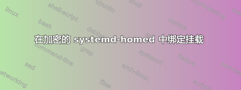 在加密的 systemd-homed 中绑定挂载