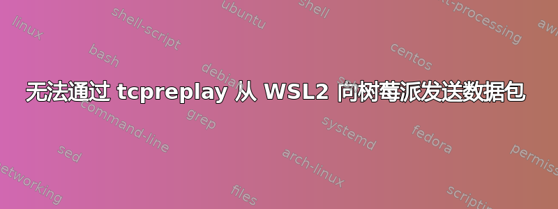 无法通过 tcpreplay 从 WSL2 向树莓派发送数据包