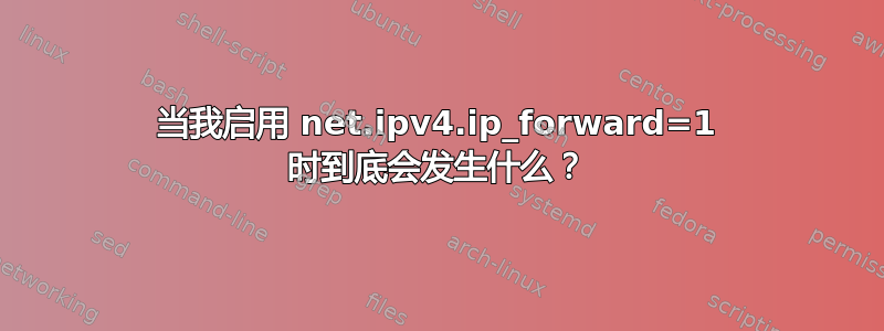 当我启用 net.ipv4.ip_forward=1 时到底会发生什么？