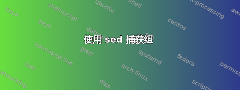 使用 sed 捕获组