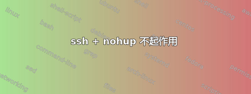 ssh + nohup 不起作用