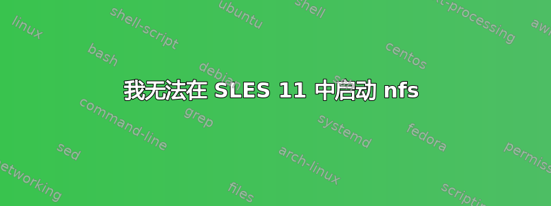 我无法在 SLES 11 中启动 nfs